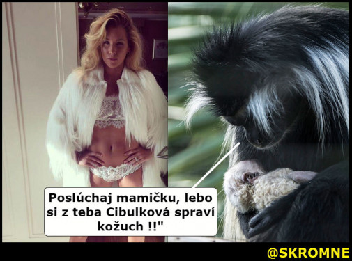 horror na dobrú noc