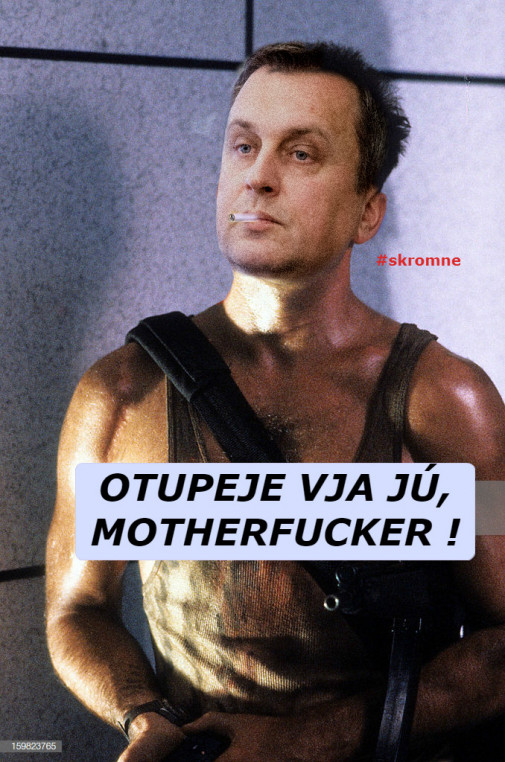 Príspevok 112930