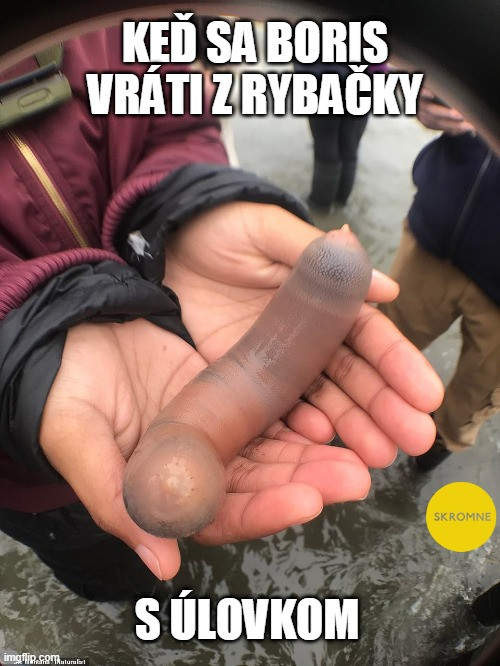 Príspevok 122890