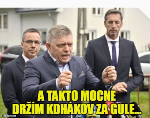 Príspevok 224420