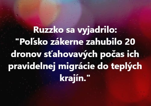 Príspevok 228450