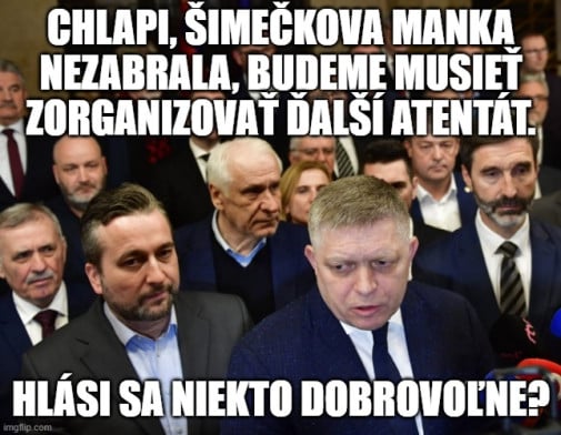 Príspevok 228950