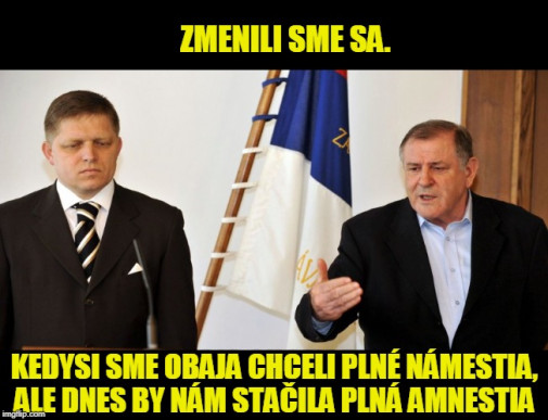 Príspevok 113474
