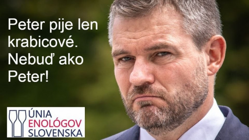 Príspevok 131616