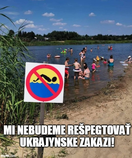 Príspevok 185798