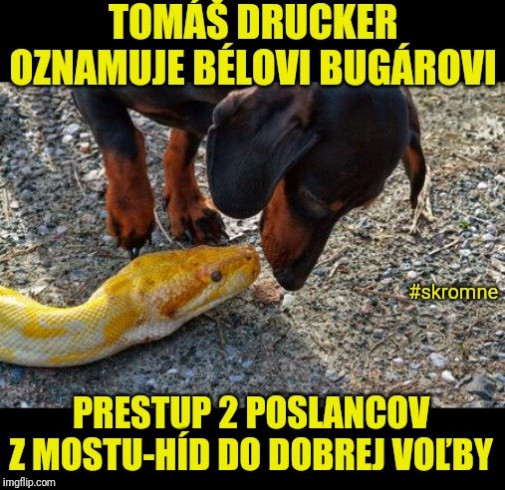 Príspevok 114219