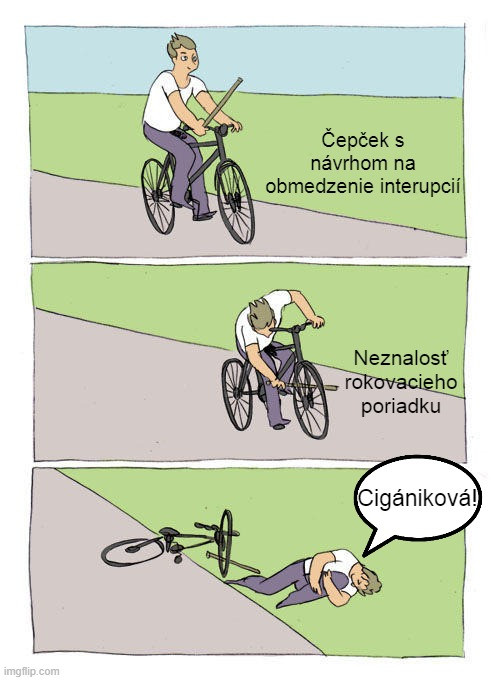 Príspevok 131129